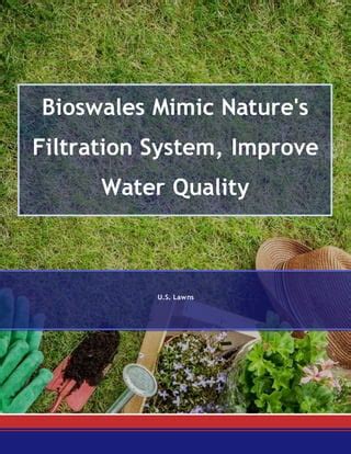 1. Nature's Filtration System