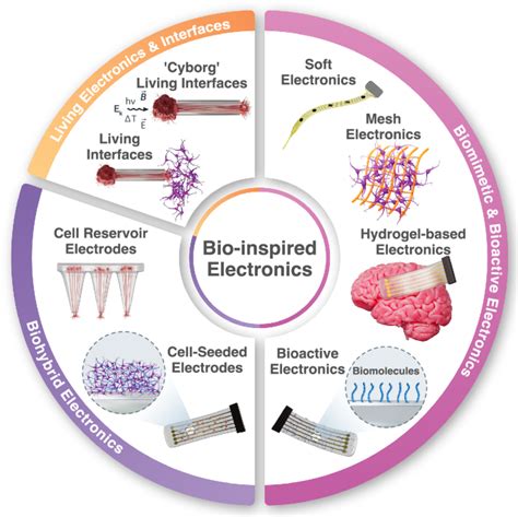 1. Neural Implants and Bio-Interfaces: