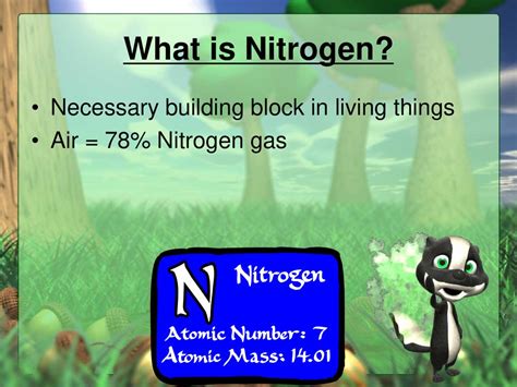 1. Nitrogen: The Building Block of Growth