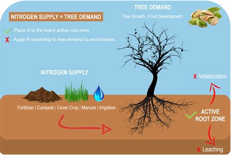 1. Nitrogen: The Cornerstone of Growth and Yield