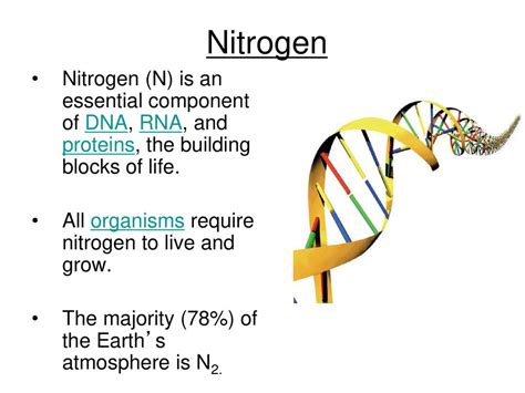 1. Nitrogen: The Essential Building Block