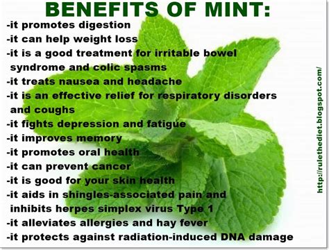 1. Nutrient Essentials for Mint