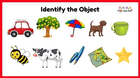 1. Object Identification: