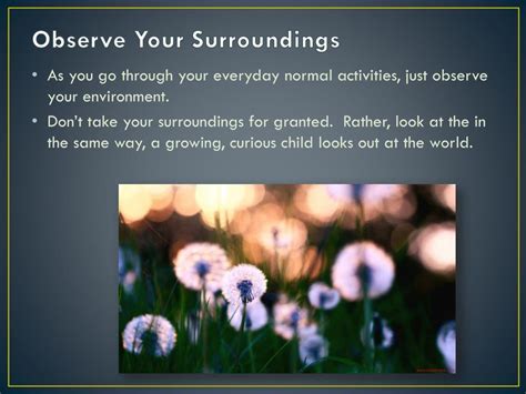 1. Observe Your Surroundings: