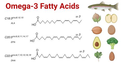 1. Omega-3 Fatty Acids