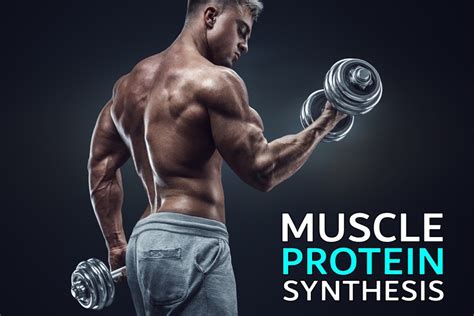 1. Optimal Protein for Muscle Development: