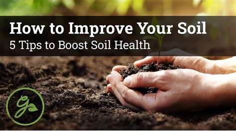 1. Optimize Soil Health