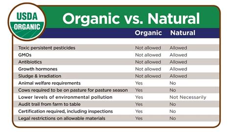 1. Organic and Natural Focus: