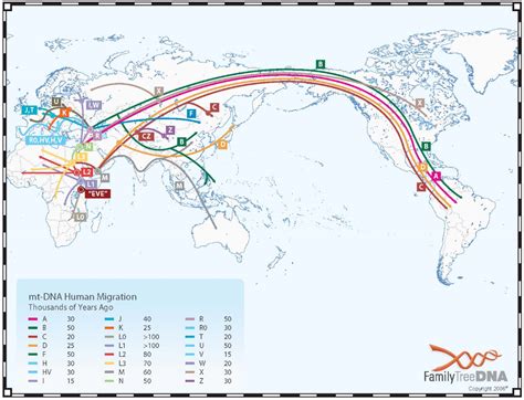 1. Origins and Distribution