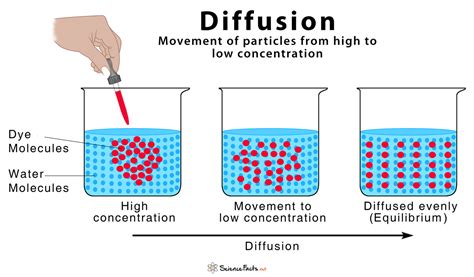 1. Over-Diffusing: