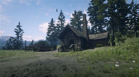 1. Overview of the RDR2 Watson Cabin