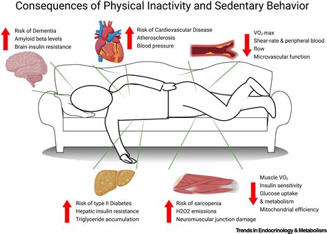 1. Physical Inactivity: