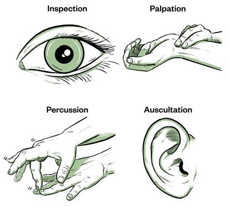 1. Physical Inspection: