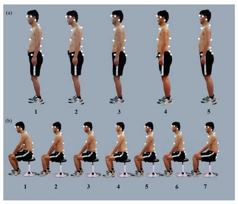 1. Physique and Posture