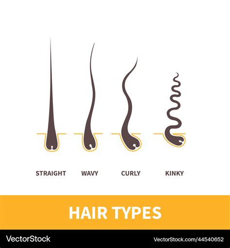 1. Placement of New Hair Strands: