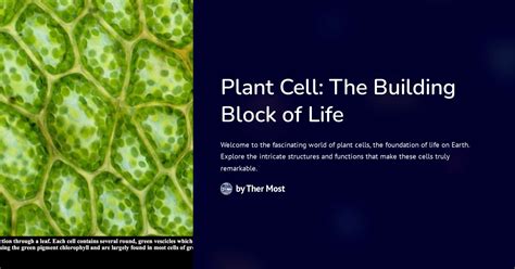 1. Plant Food: The Building Blocks of Life