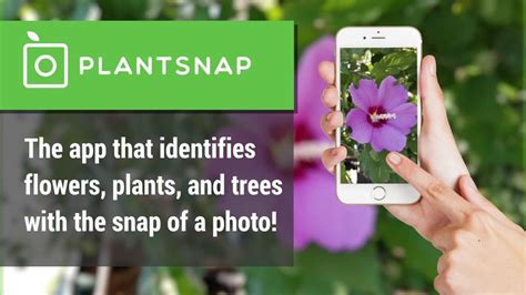 1. PlantSnap: Your Plant Identification Guide