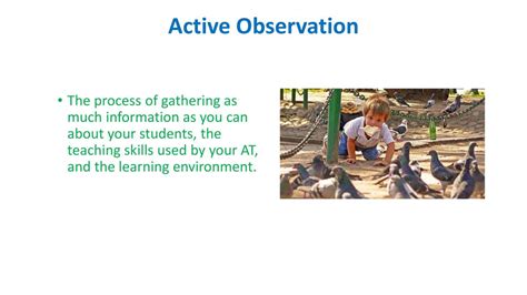 1. Practice Active Observation: