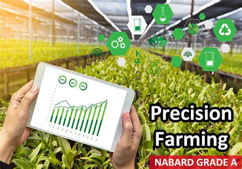 1. Precision Crop Management for Optimal Growth