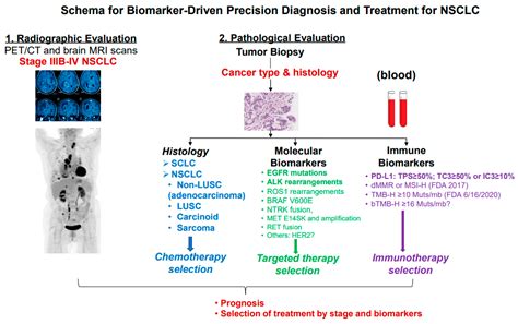 1. Precision Diagnosis and Treatment: