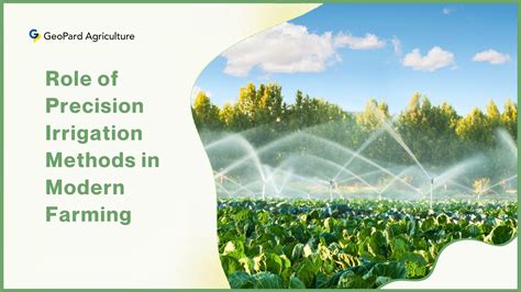 1. Precision Irrigation: