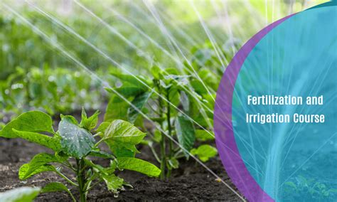 1. Precision Irrigation and Fertilization: