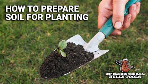 1. Prepare the Soil: