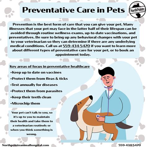 1. Preventative Care: The Cornerstone of Healthy Pets