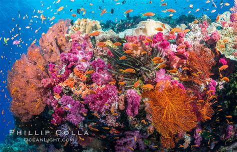 1. Pristine Waters and Vibrant Coral Reefs: