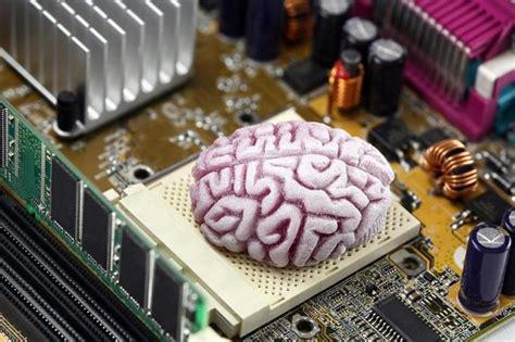 1. Processor: The Brain of Your PC