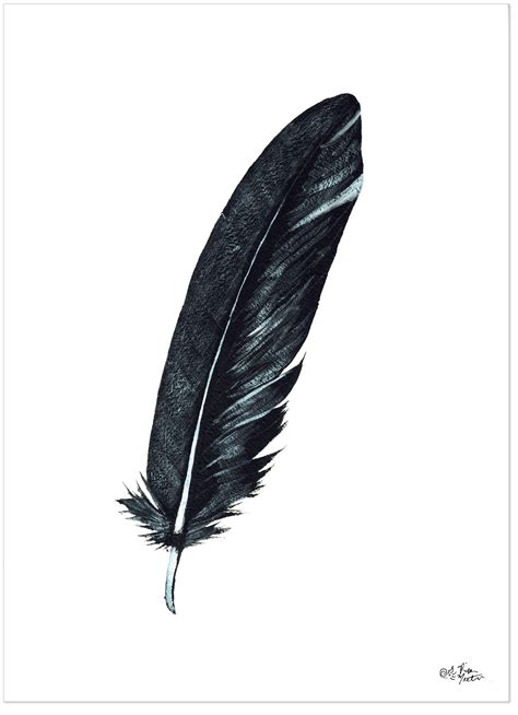 1. Raven's Feather Plume: