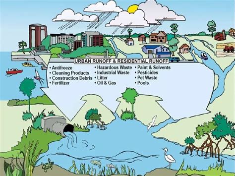 1. Reduced Nutrient Loss and Environmental Pollution: