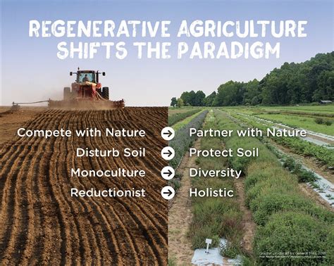 1. Regenerative Farming Practices: