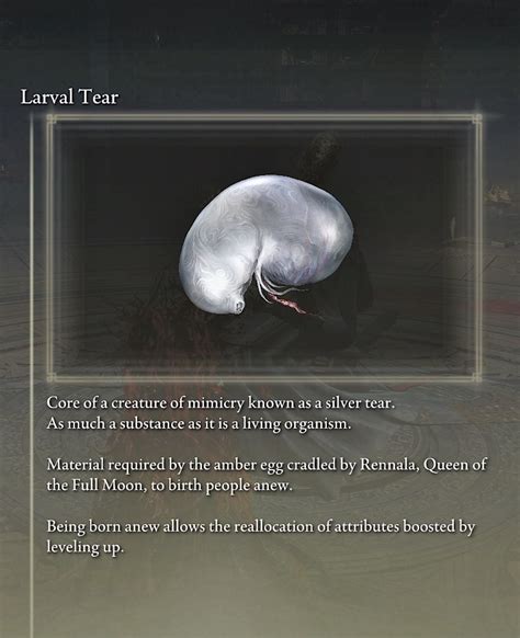 1. Regular Larval Tears: