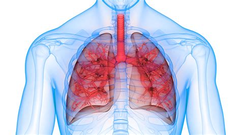 1. Respiratory Health: