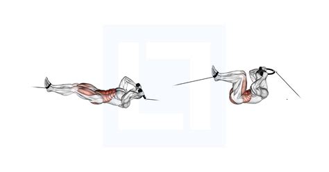 1. Reverse Crunch (Cable or Bodyweight)