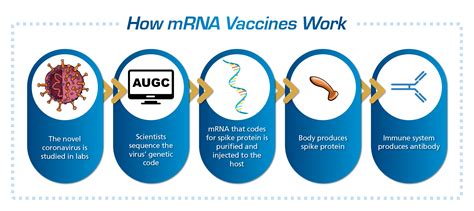 1. Revolutionary mRNA Technology