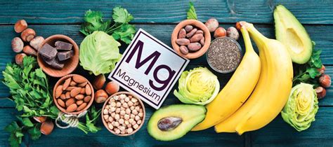 1. Rich Nutrient Profile: A Powerhouse of Essential Nutrients