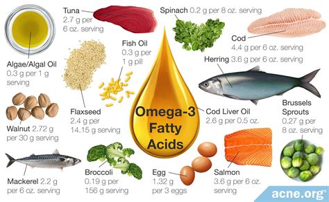 1. Rich in Omega-3 Fatty Acids: