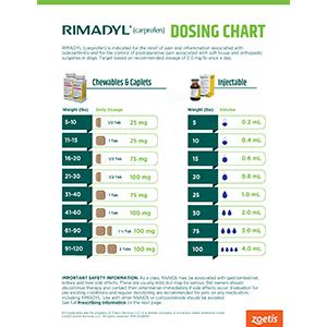 1. Rimadyl Dose for Dogs: How Much to Give