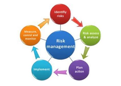 1. Risk Management and Insurance Services