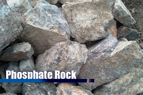 1. Rock Phosphate: Unlock the Power of Phosphorus