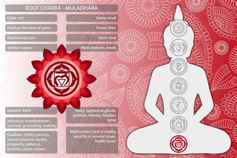 1. Root Chakra (Muladhara):