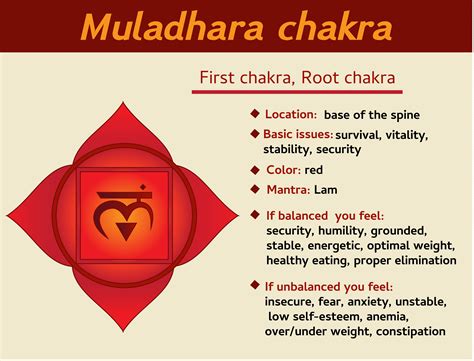 1. Root Chakra (located at the base of the spine)