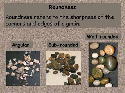 1. Roundness and Softness: