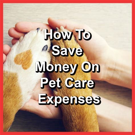 1. Savings on Pet Care Expenses: