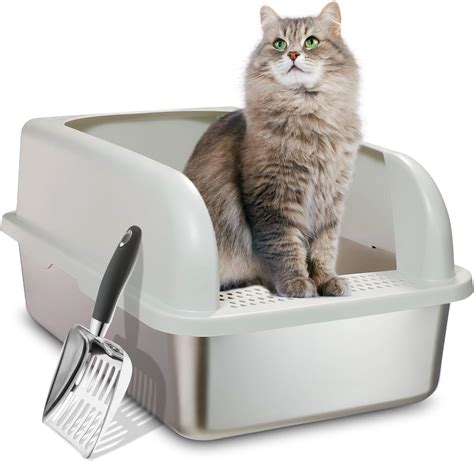 1. Sifting Litter Boxes: