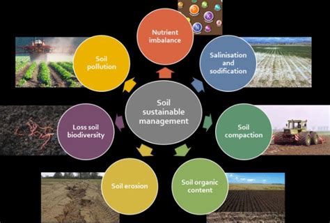 1. Site Selection and Soil Management: