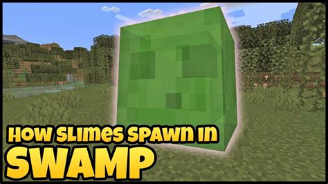 1. Slimes spawn in swamps and slime chunks.