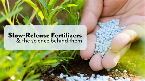 1. Slow-Release Fertilizers: